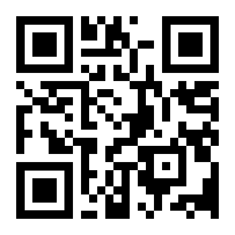 qr code zu punktube.net